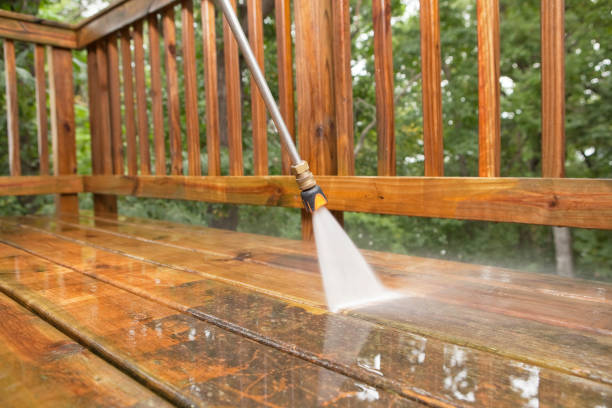 Best Sidewalk and Walkway Cleaning  in Woodville, AL